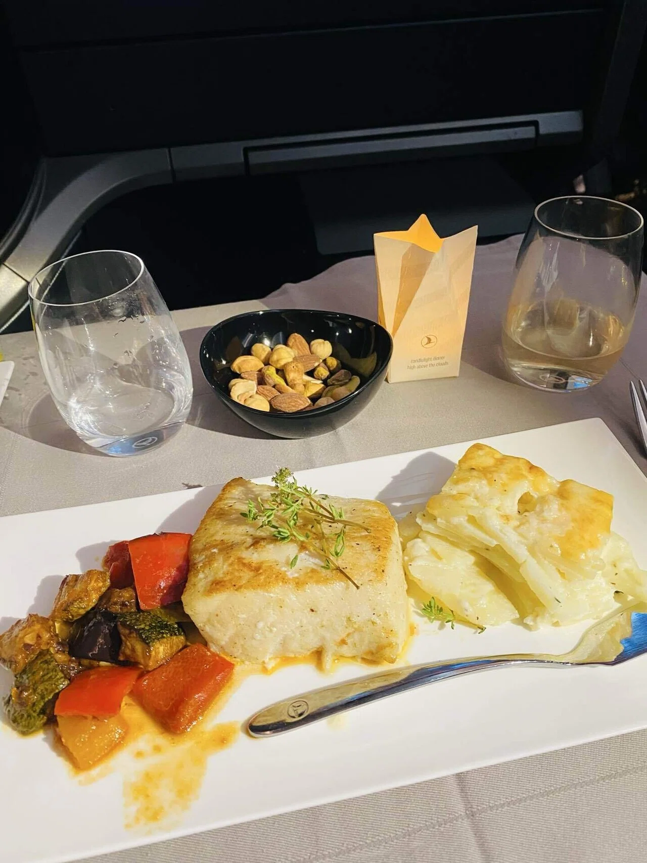 世界一周一人旅⑦憧れ機内食と旅から問われること｜tomo