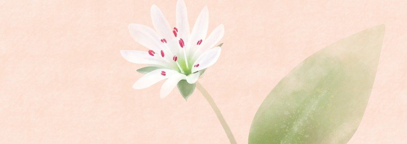 木嶋 Note