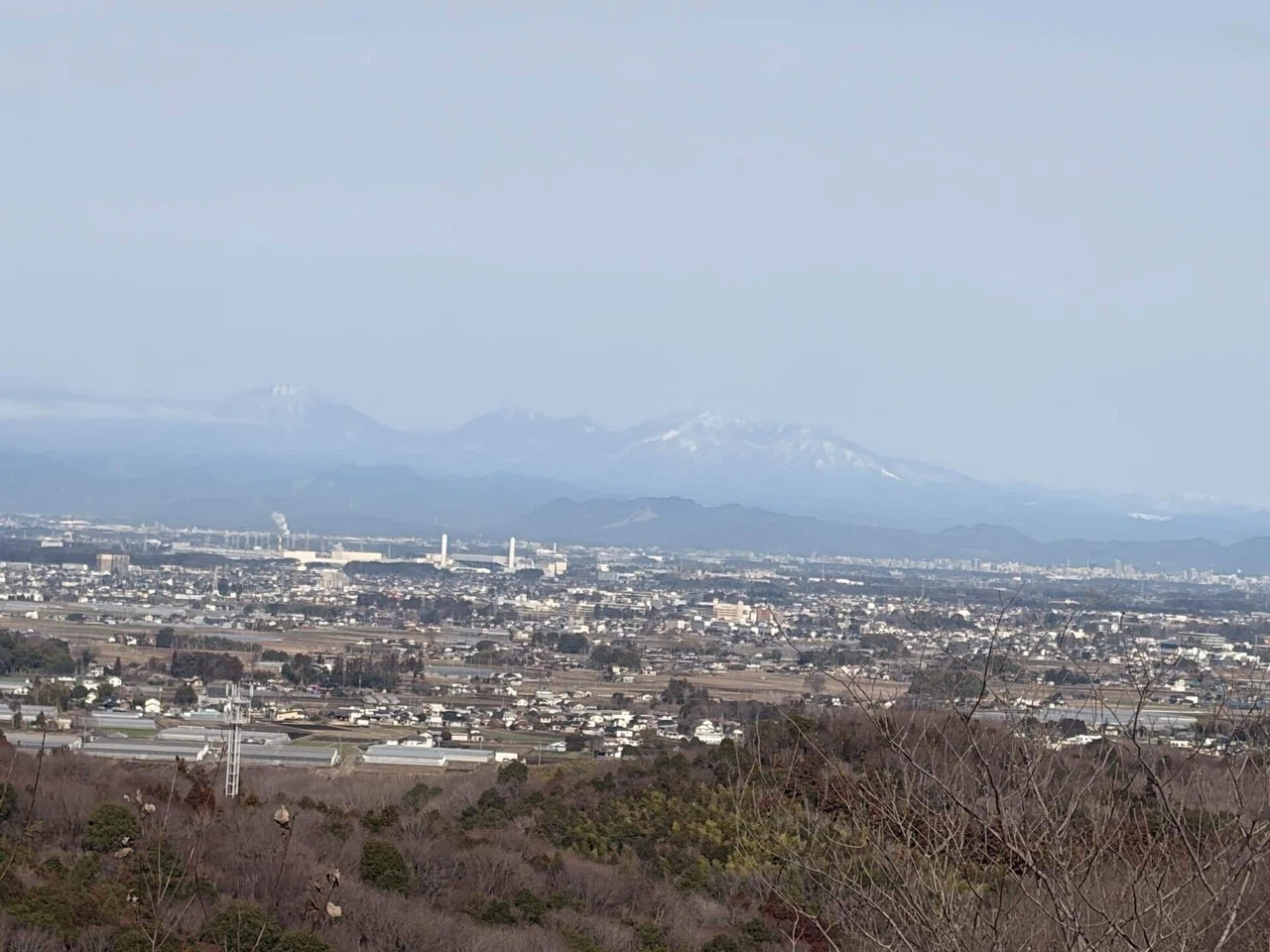 マンサクが咲く山へ｜荻野典夫