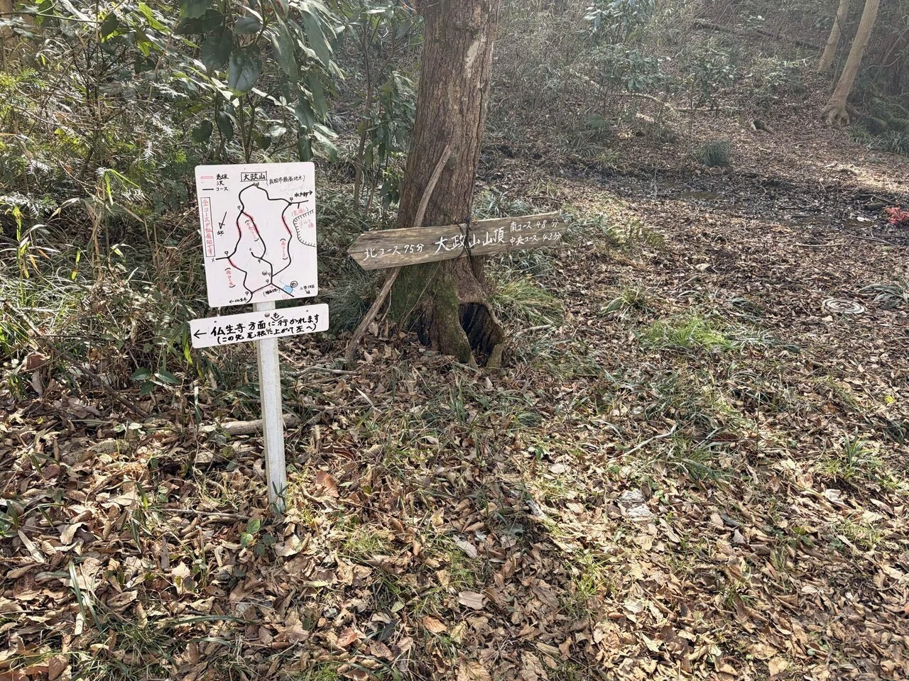 マンサクが咲く山へ｜荻野典夫