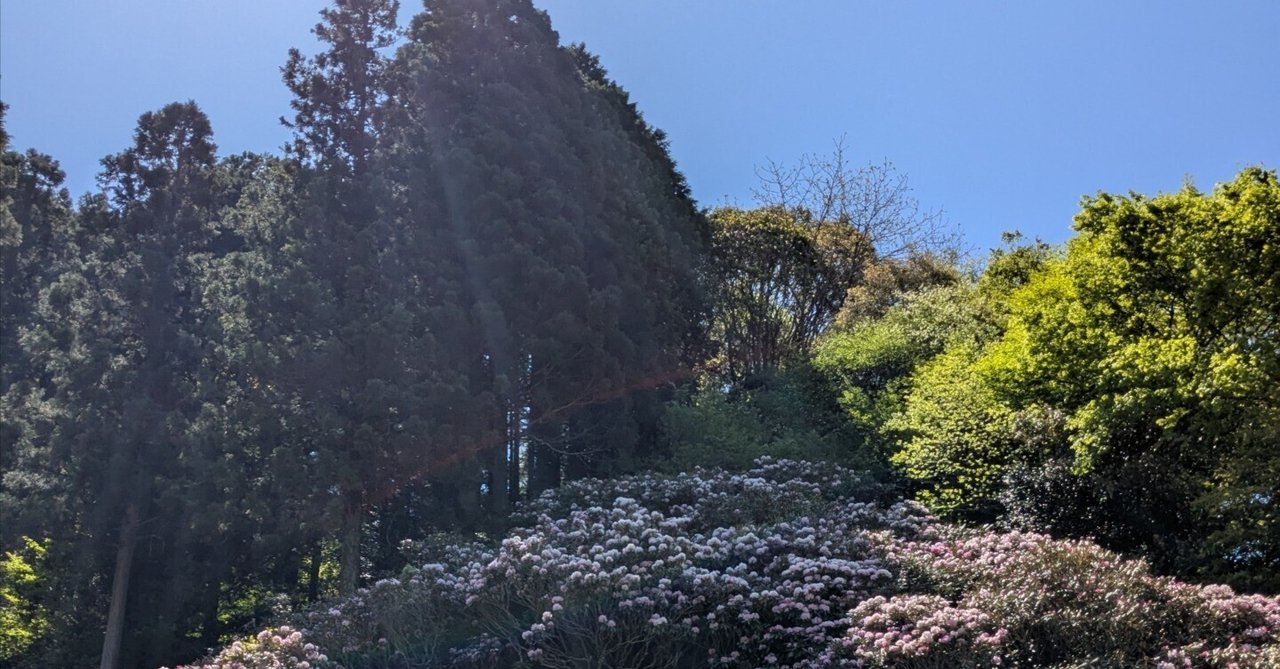 「【日記No.60】先制満塁弾で壮大なドラマの第1話が始まった⚾️」のサムネイル