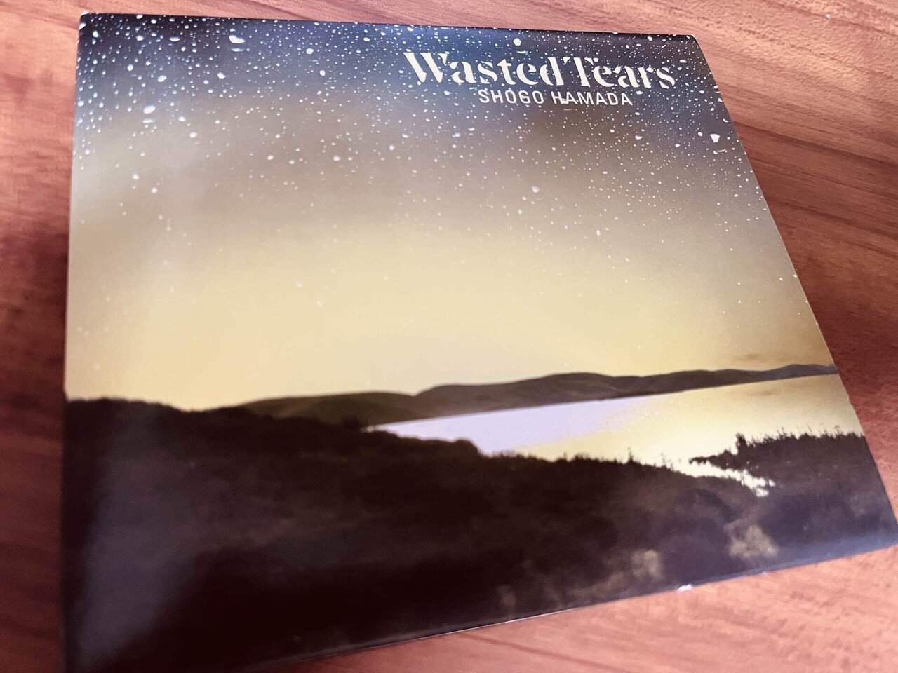 僕の浜田省吾は『Wasted Tears』から始まった——妻の部屋で初めて聴いた