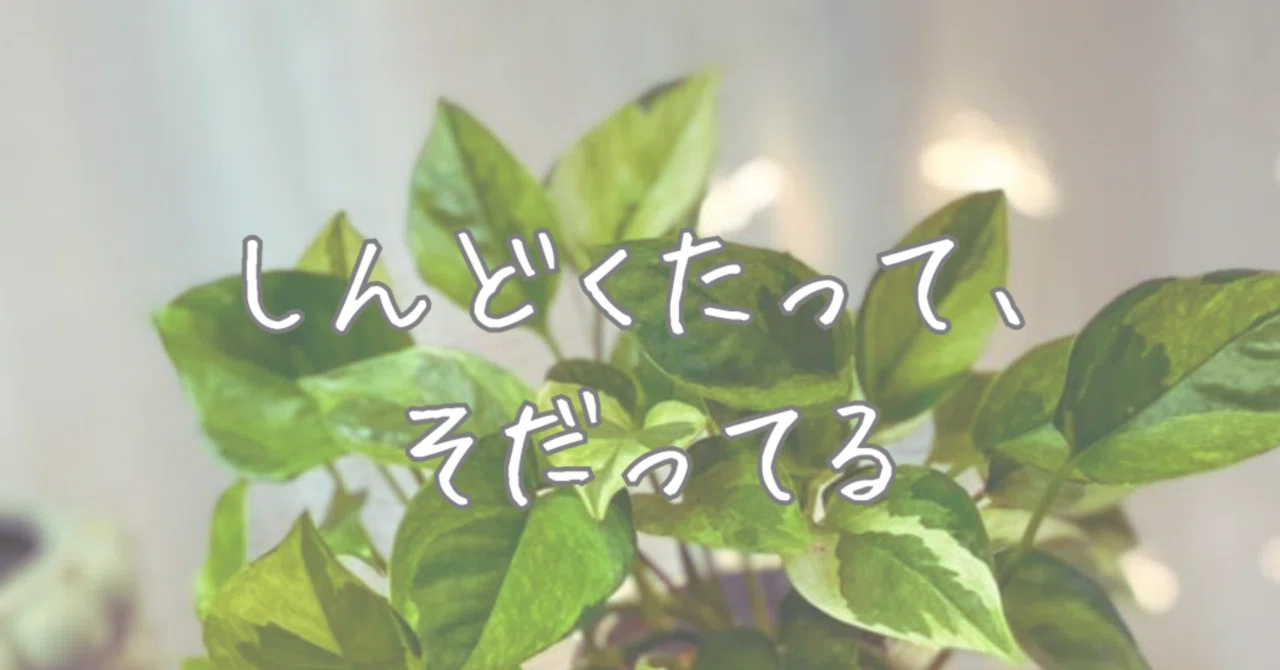 見出し画像