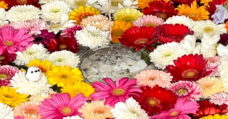  20260307 札幌の神社巡り写真ログ