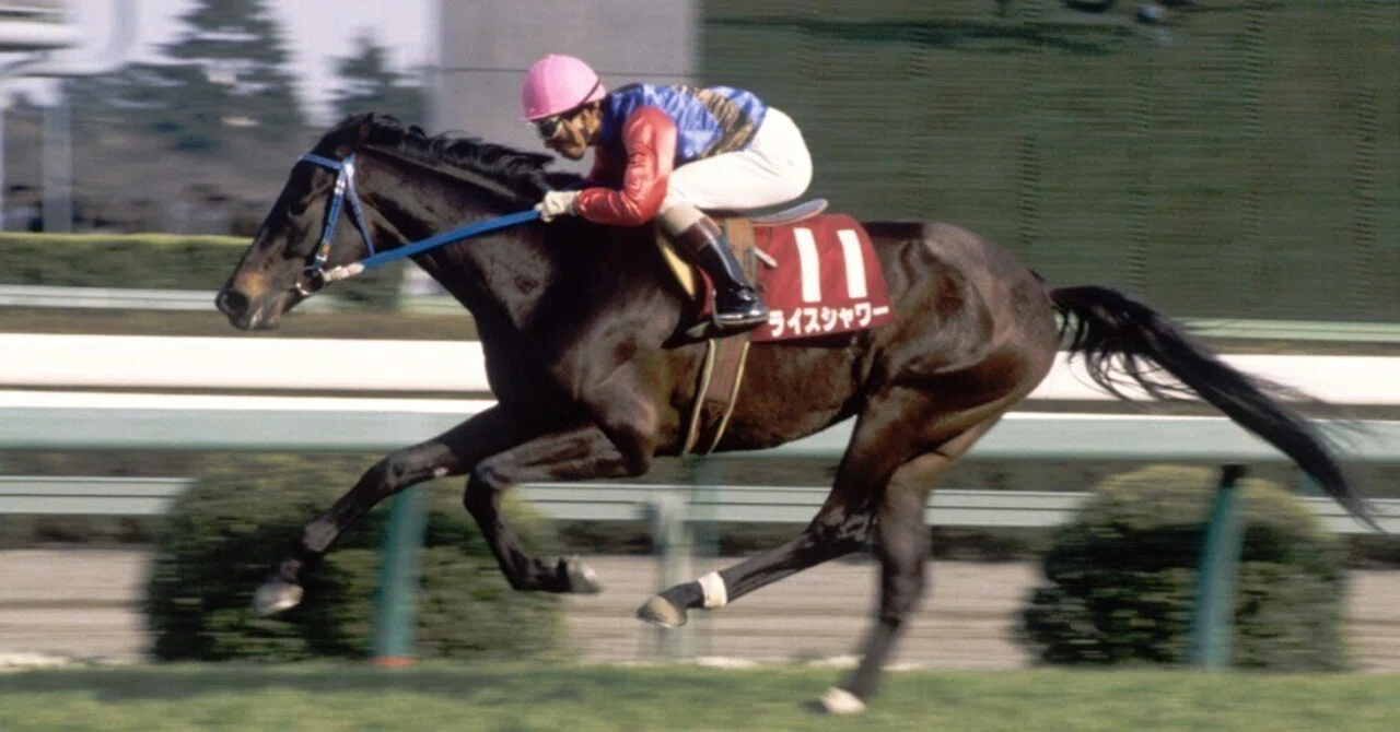 好きな競走馬、ライスシャワー｜masaru sakamoto（坂本 勝）