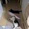 トノとメイ