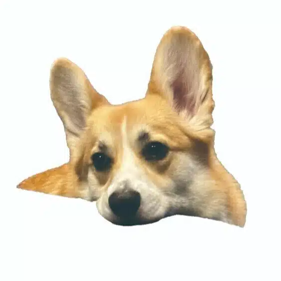 ちくわ研究室