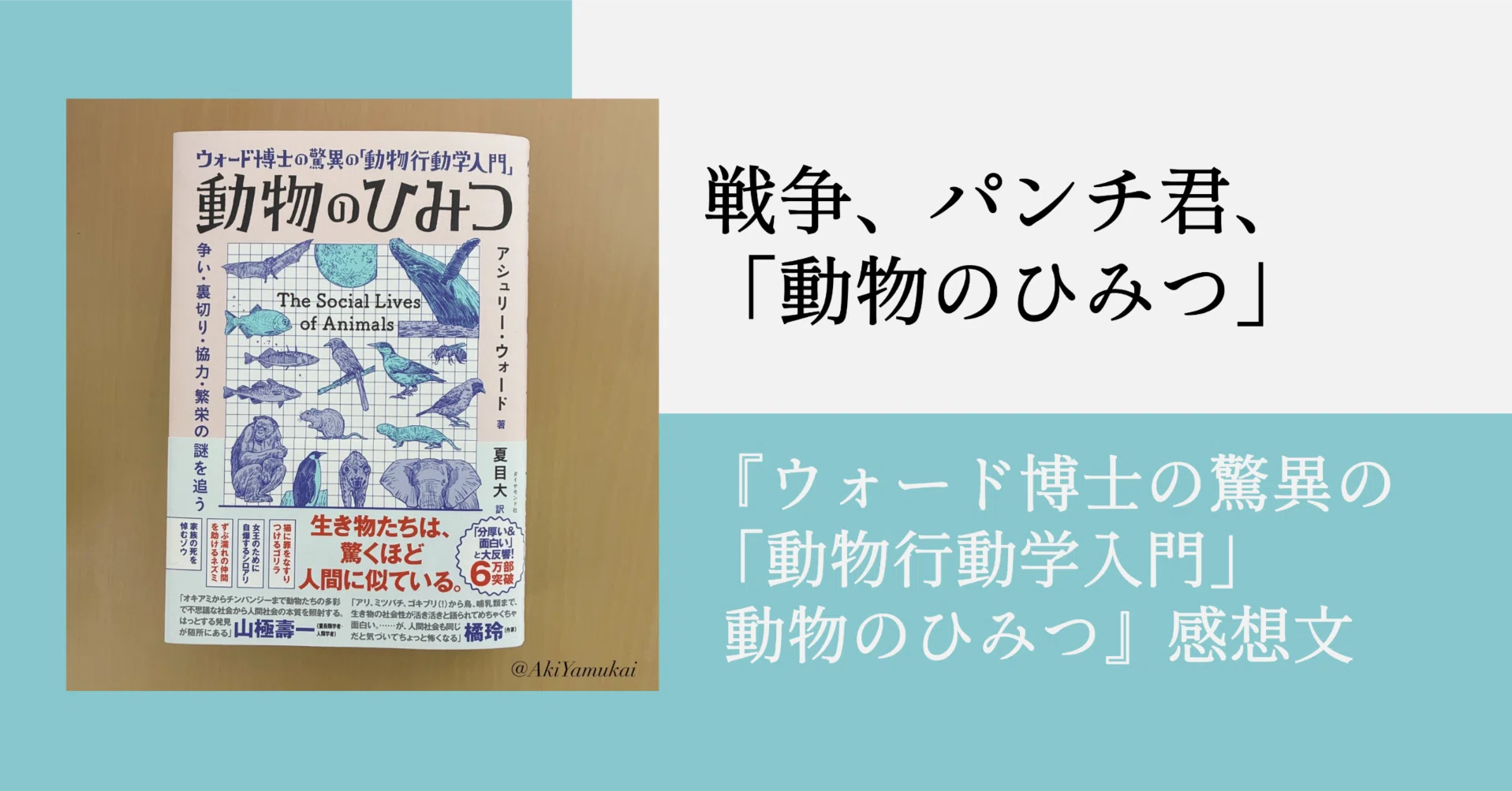 戦争、パンチ君、「動物のひみつ」｜矢向 亜紀 / 書籍発売中