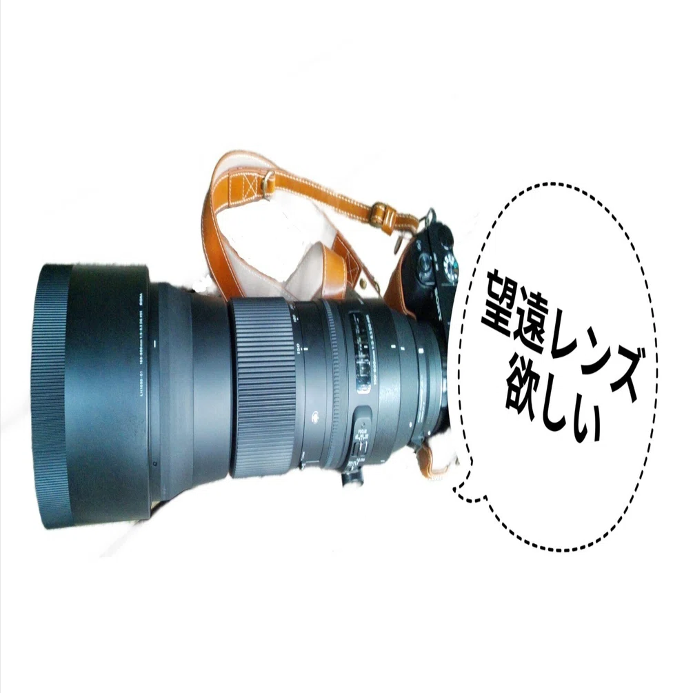 13: 鳥との戯れが苦行に！？望遠沼で閃いた「EFマウント変換」の術｜ぽ