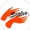 Scales-スケイル（料理研究家）