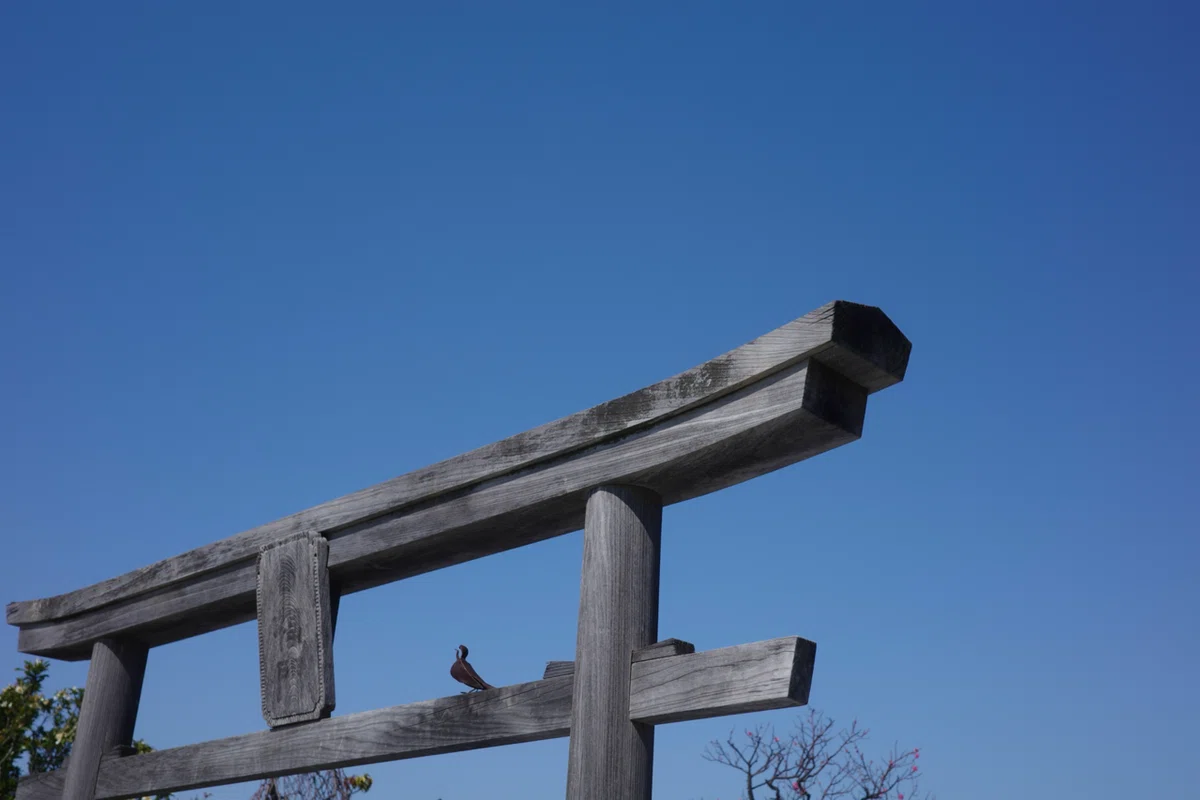 博多駅界隈をブラッと彷徨く・前篇|薩摩芋郎