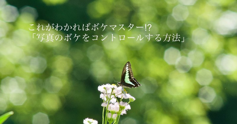 写真のボケをコントロールする方法 ケイタケ 古き良きもの再生人 Note