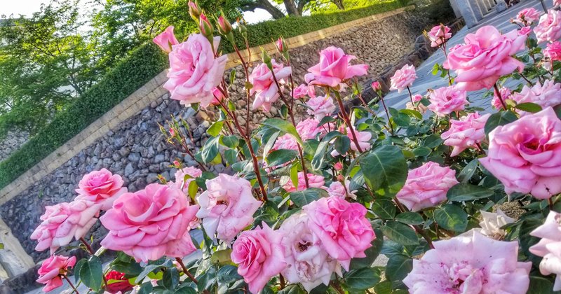 You Can Make It 時事英語 039 Mourn Tribute Y S Factory Note