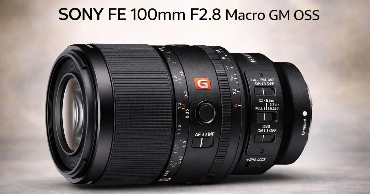 SONY FE 100mm F2.8 Macro GM OSSは“寄れるだけじゃない”。仕事・家族