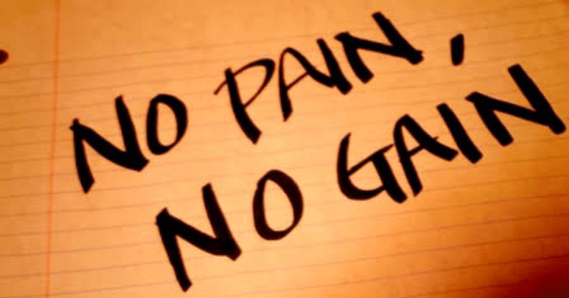 No Pain No Gain フィリップ Note No Pain No Gain フィリップ Note