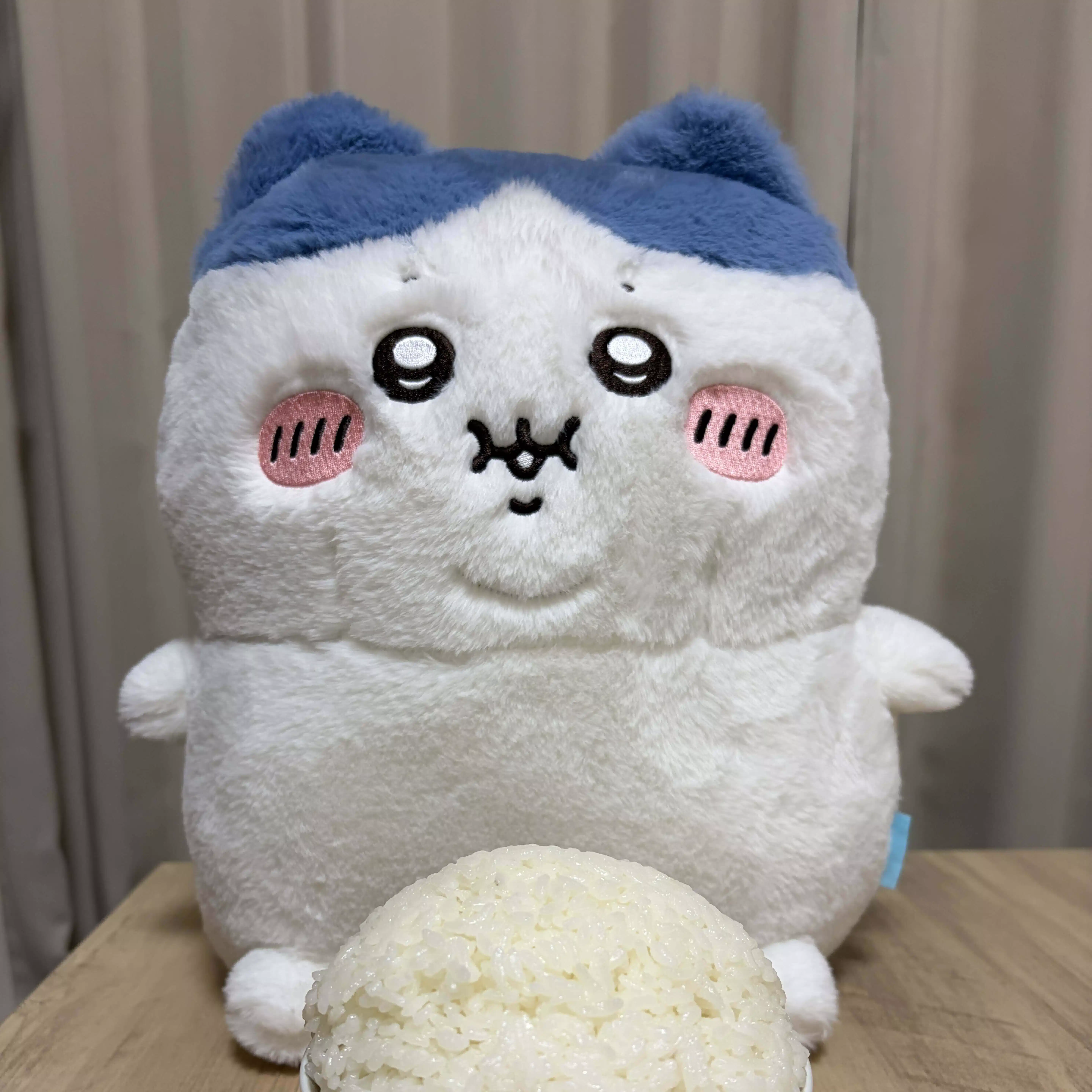 たゆた