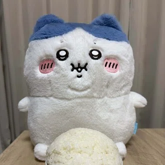 たゆた