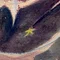 石渡由菜