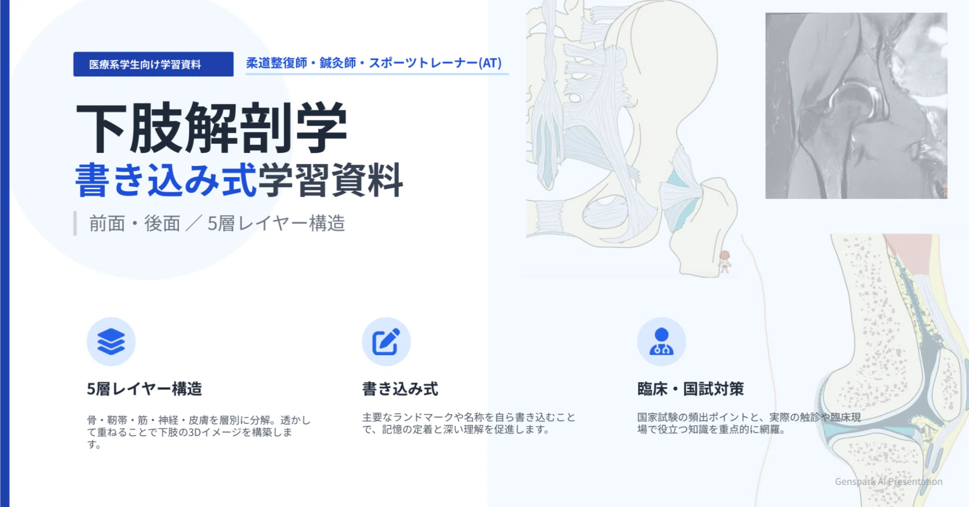 無料配布・第2弾】下肢の解剖学を「5層レイヤー」で理解する書き込み式