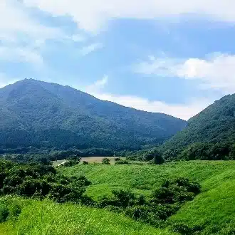 tomo