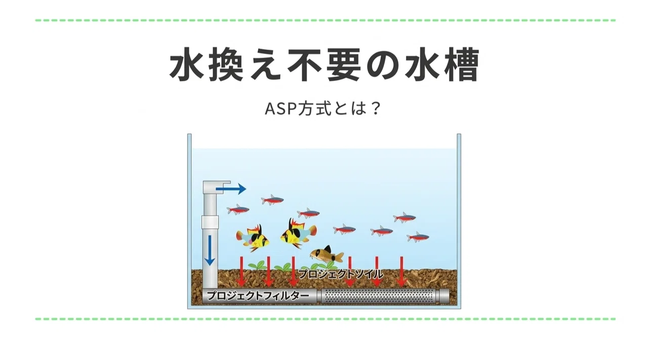 ASP方式とは 【水換え不要の水槽システム】｜アクアステージ21 SUNAMO