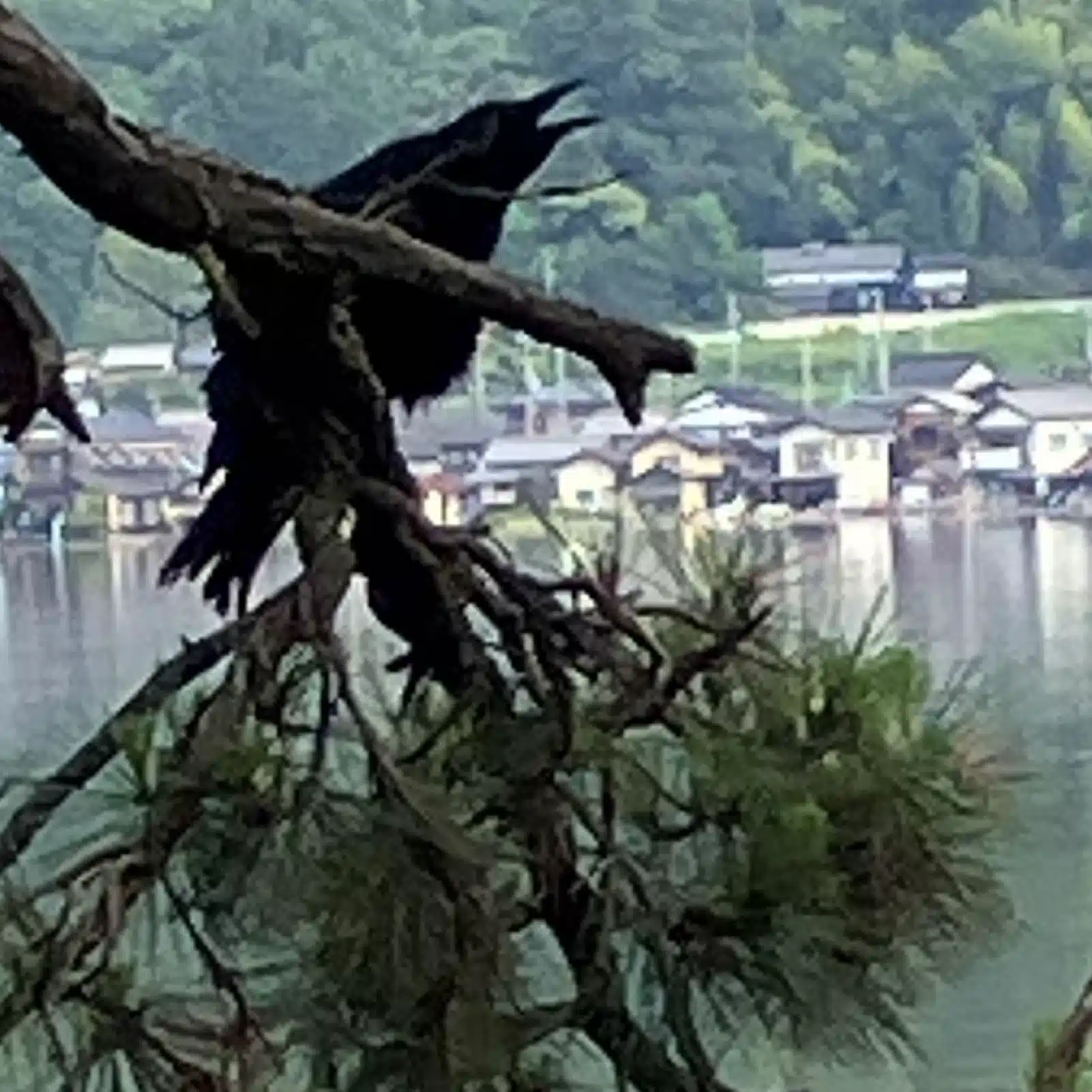 大花　町（たいか　まち）