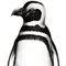 まざらんペンギン