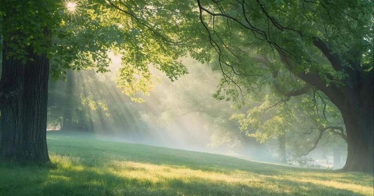 Even though I should be happy, I cannot rejoice | Perhaps the bulb is ...