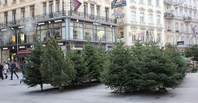 オーストリアのクリスマスツリーよもやま話 Hyorowien Note