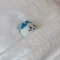 おこたんぺこ