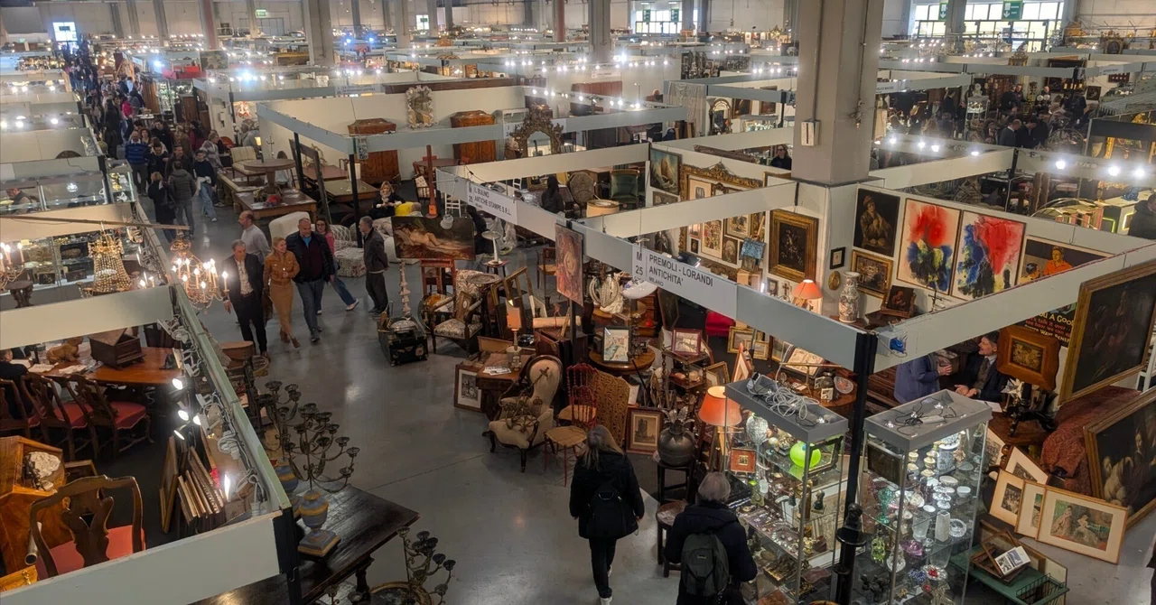 Parma Antique Fair and Salmon Maps｜Yuichi Fubuki