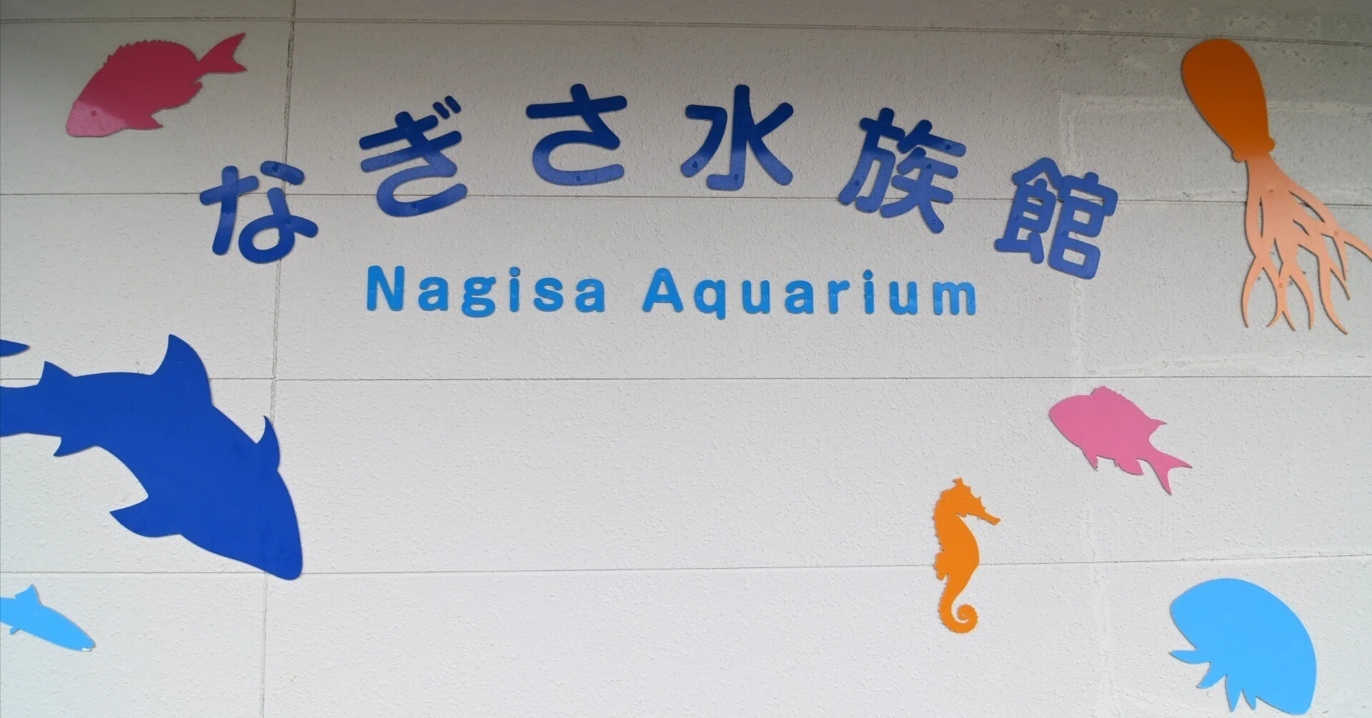 20260307_なぎさ水族館【Nikon Z50IIと水族館】｜山ネズミ