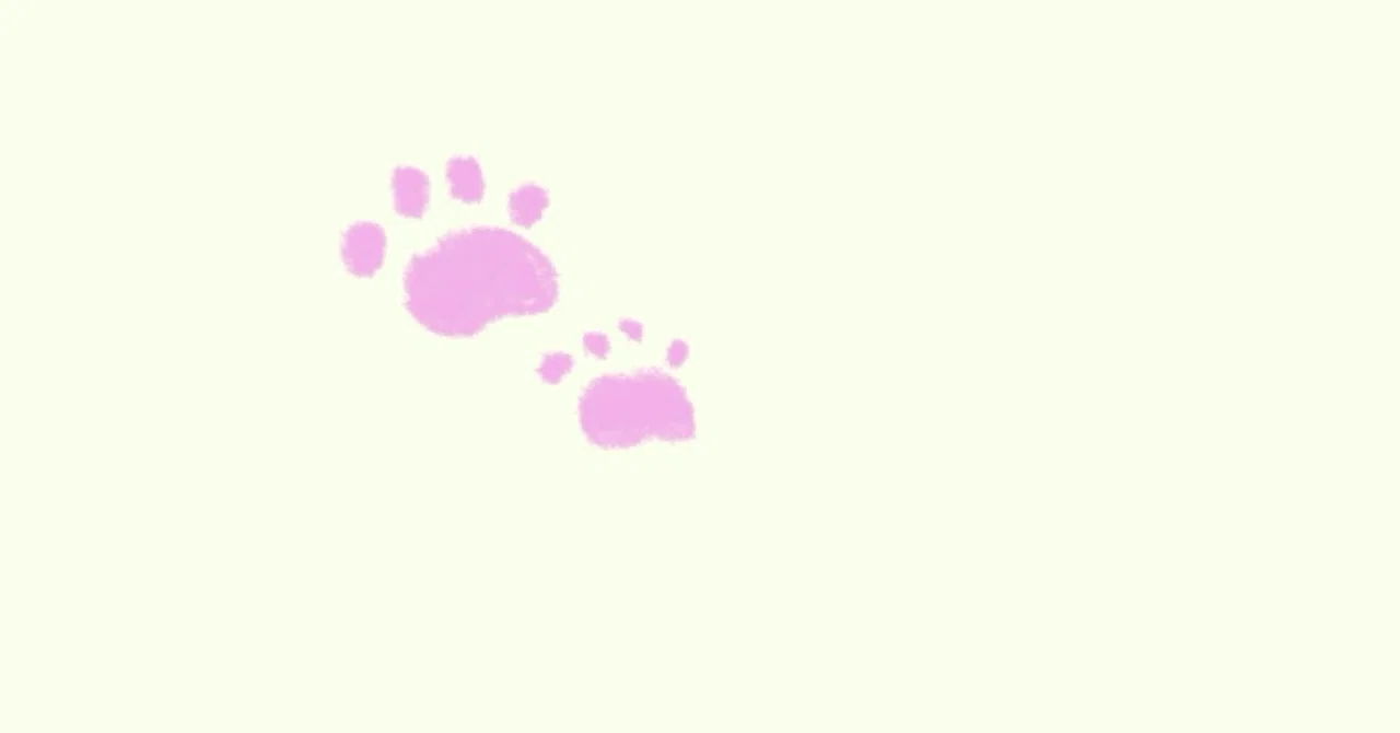 【はじめてのnote】すてきな一歩｜すてき欄