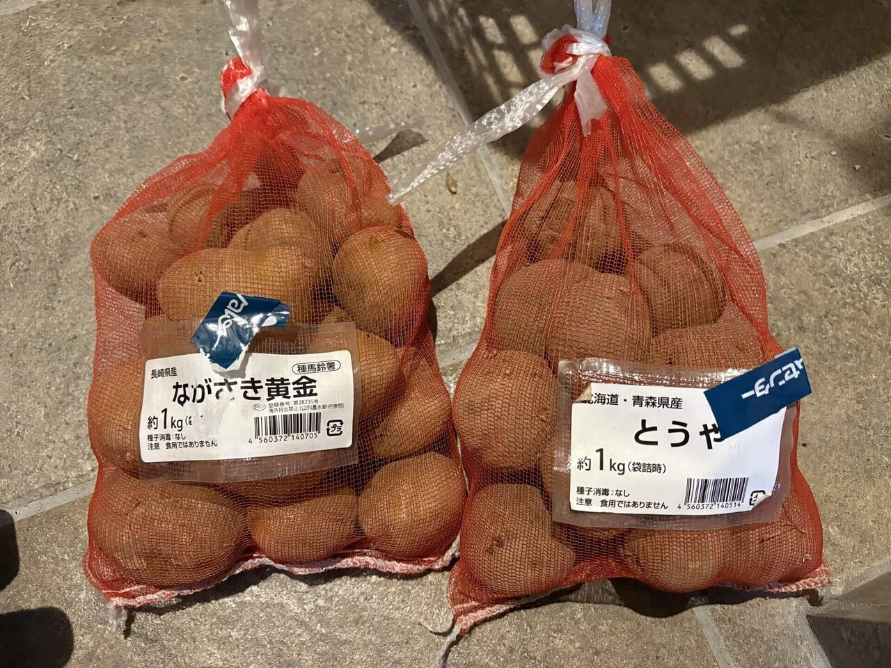 東海地方で種芋を買うならここ｜今年はながさき黄金ととうやを栽培