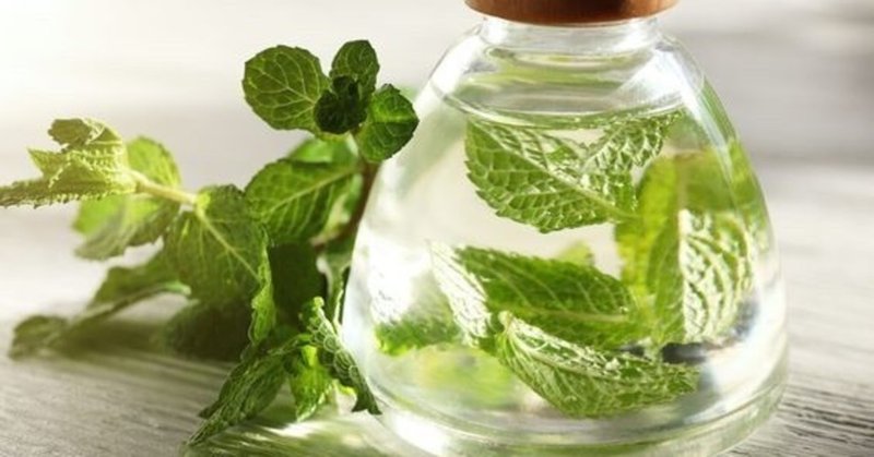 ペパーミントオイルの心肺機能向上効果 Dr Otani Note