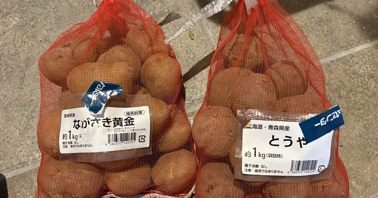 東海地方で種芋を買うならここ｜今年はながさき黄金ととうやを栽培