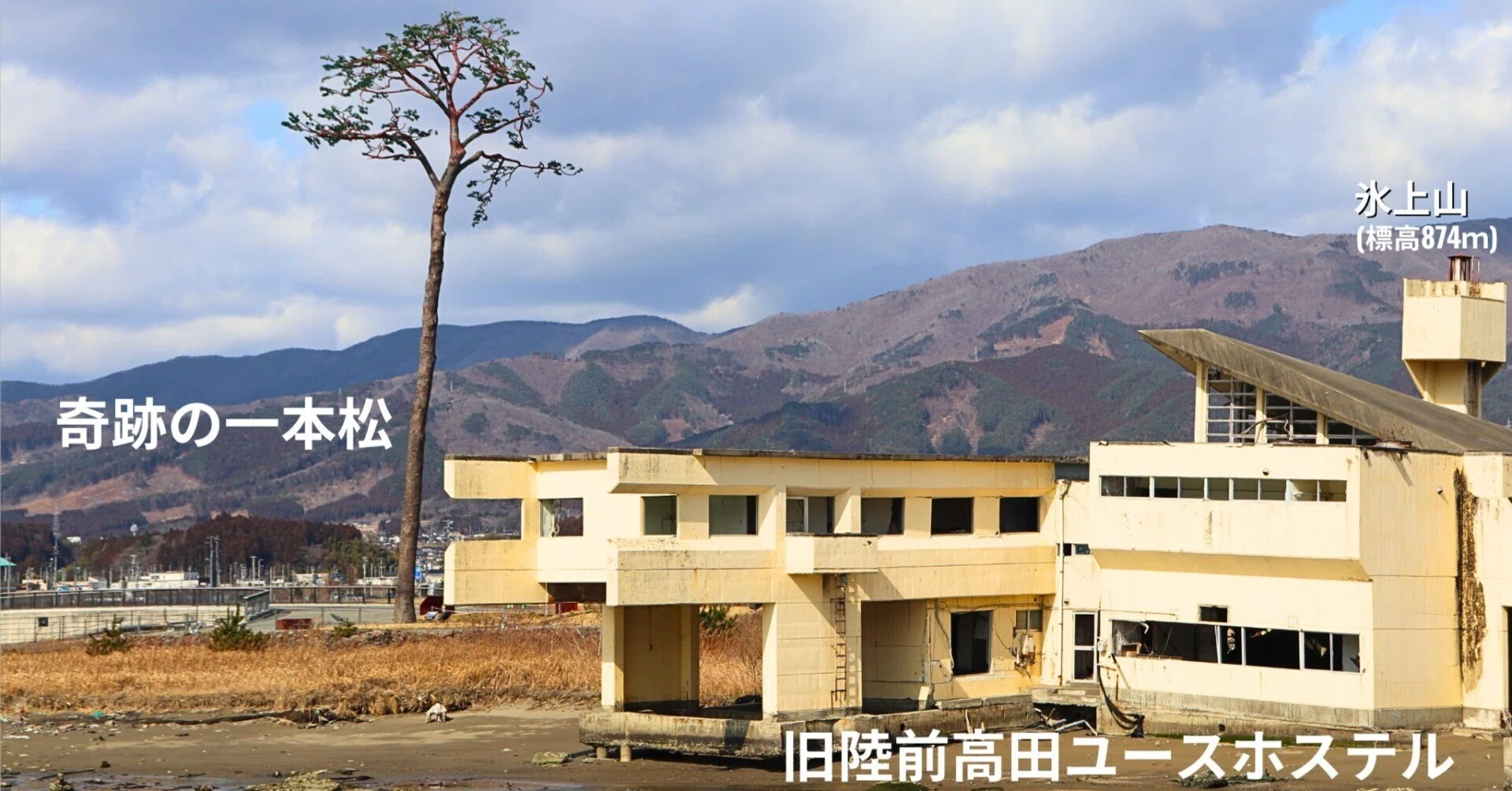 奇跡の一本松｜岩手県立高田高等学校