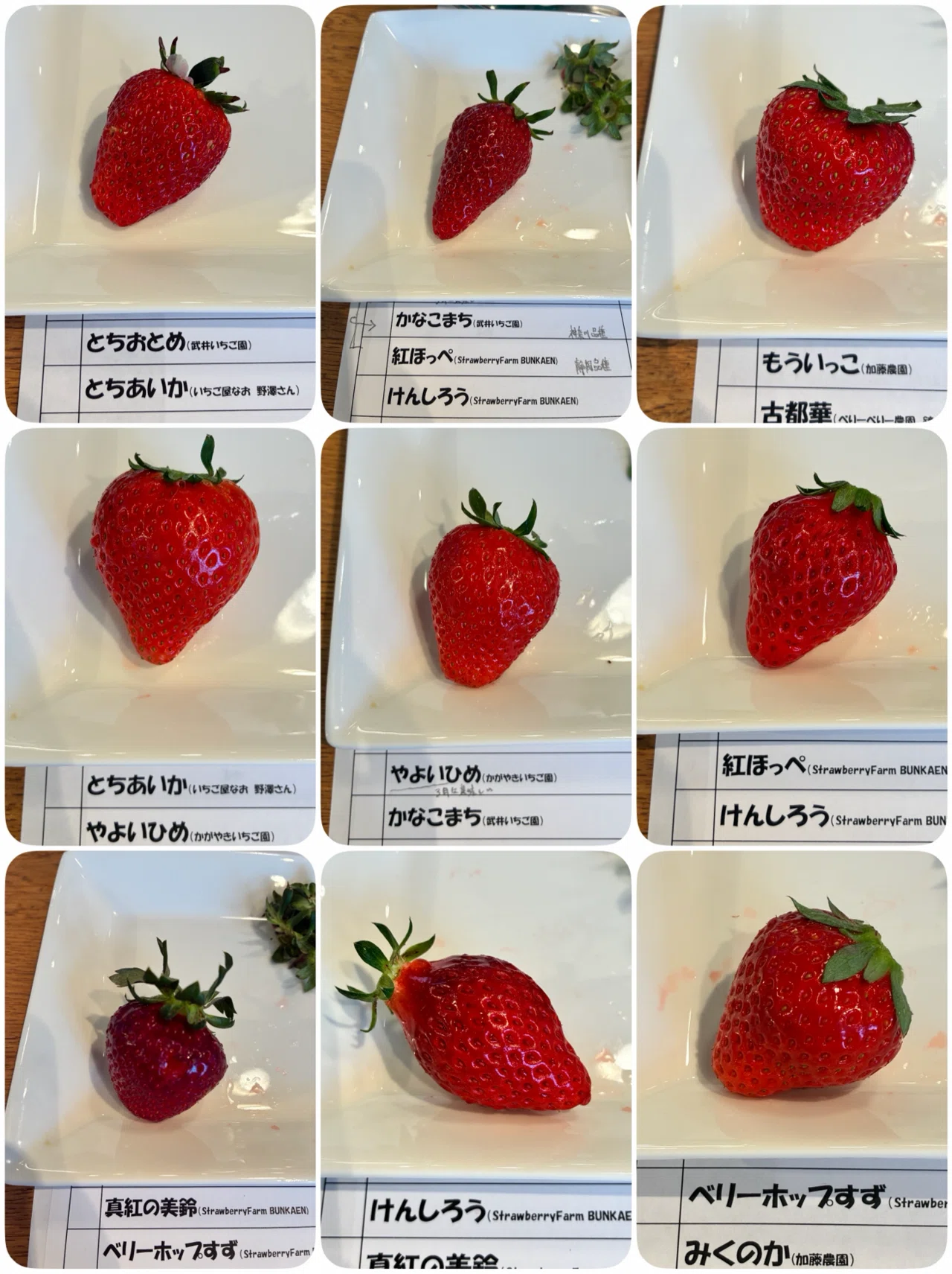 いちご記録2いちご食べ比べ会といちご狩り｜三月うさぎ