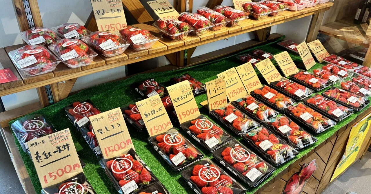 いちご記録2いちご食べ比べ会といちご狩り｜三月うさぎ