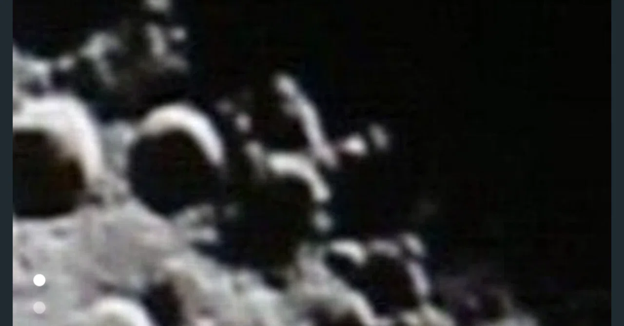2026年の月面X🌓｜さわさわ☆星空コミュニケーター｜Clubhouseで毎日星