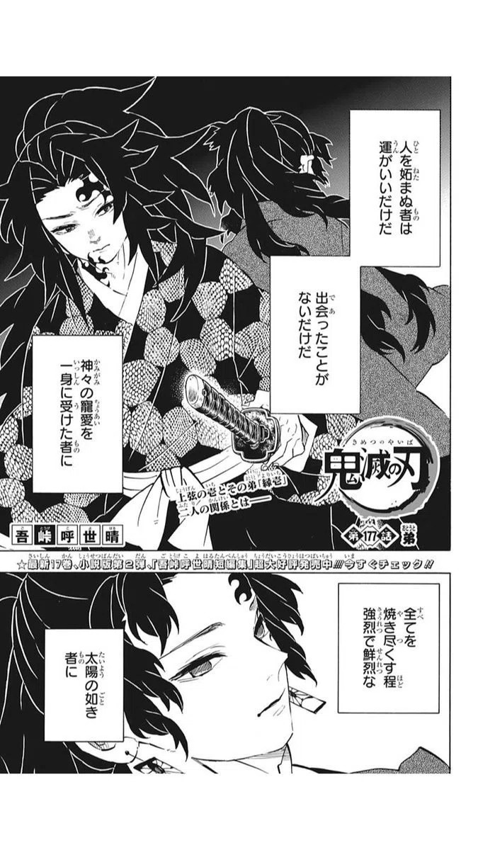 鬼滅の刃20巻 感想 嫉妬の炎とは太陽のまばゆい光か｜ぶれいず