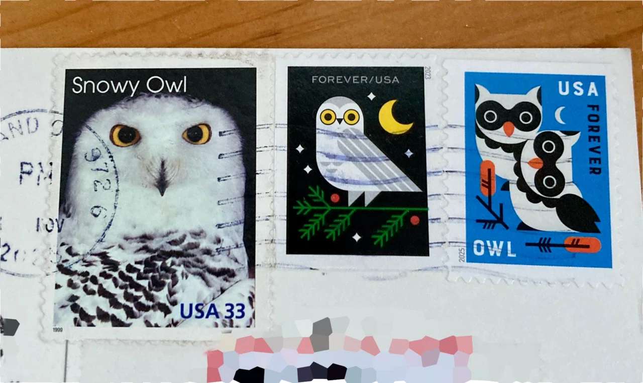 10連刷 フクロウとハヤブサ 猛禽類 2003年 イギリス 外国切手 4232 猛禽類販売】GWセールお品書き_2025年4月15日 広島初のフクロウ | コレクション