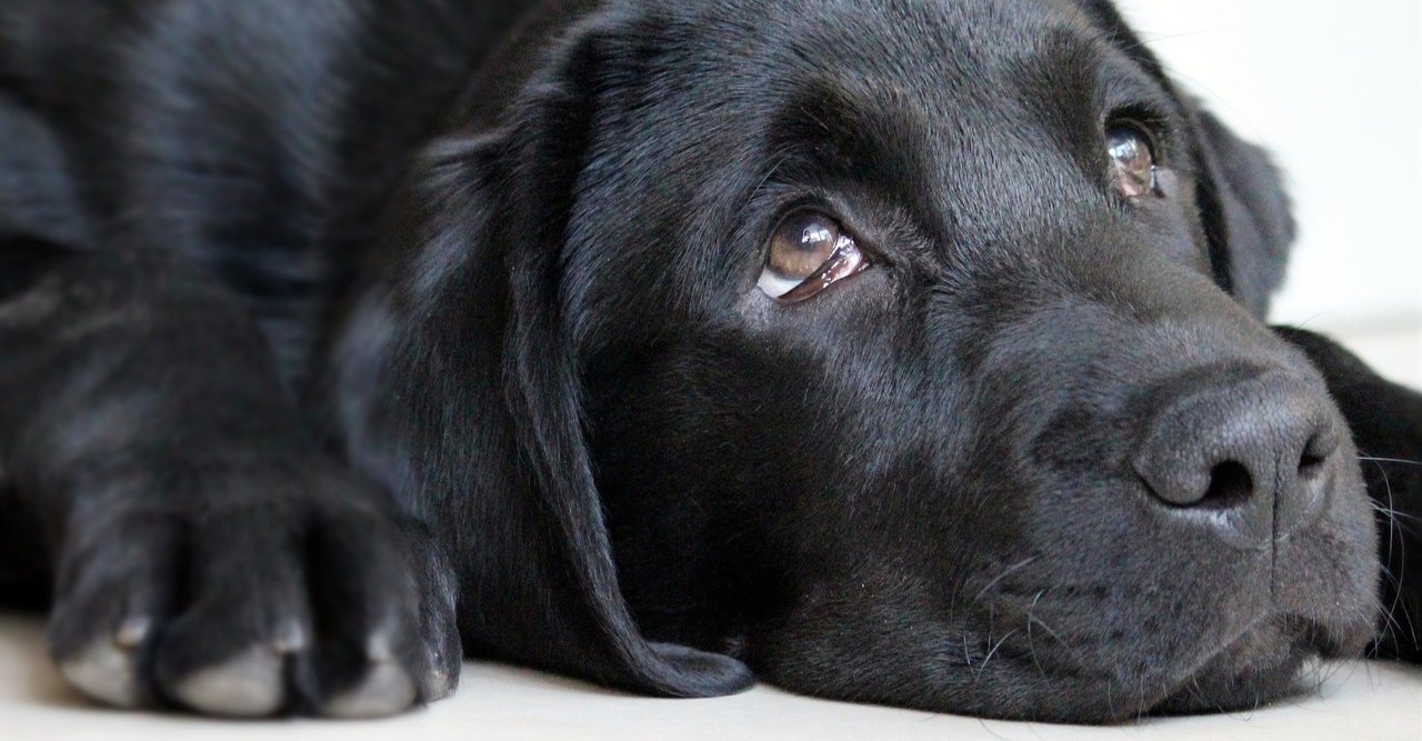 最悪だ と思ったときに それでも前に進むための思考法 3step 綿樽 剛 メンタルタフネス Note