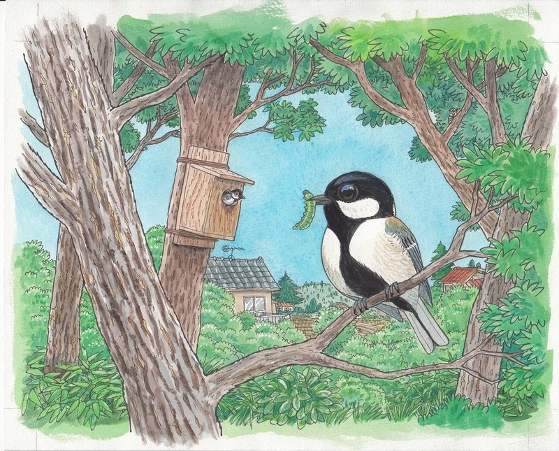 第1013回 野鳥日和 翆野 大地 Note