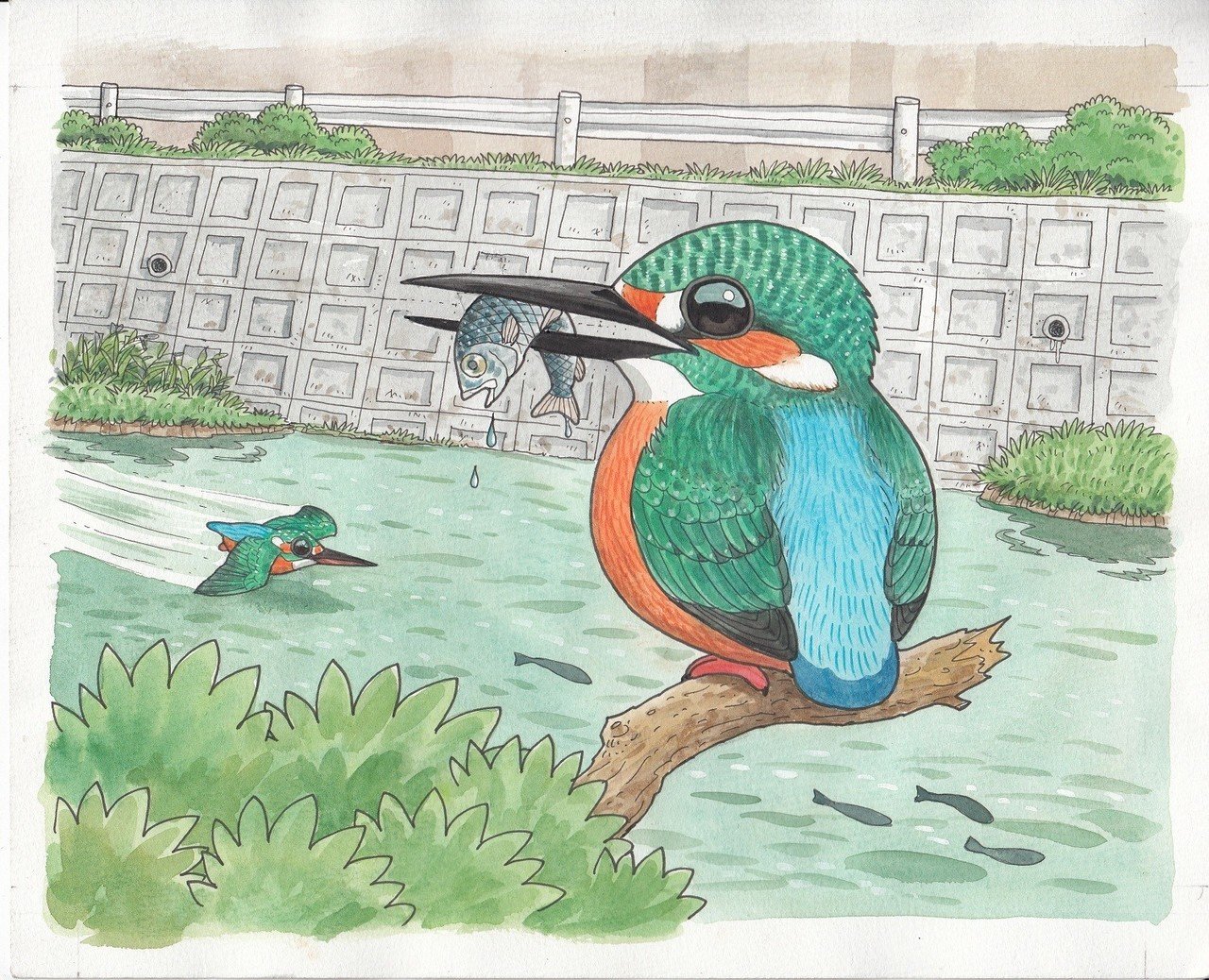 第1013回 野鳥日和 翆野 大地 Note 第1013回 野鳥日和 翆野 大地 Note