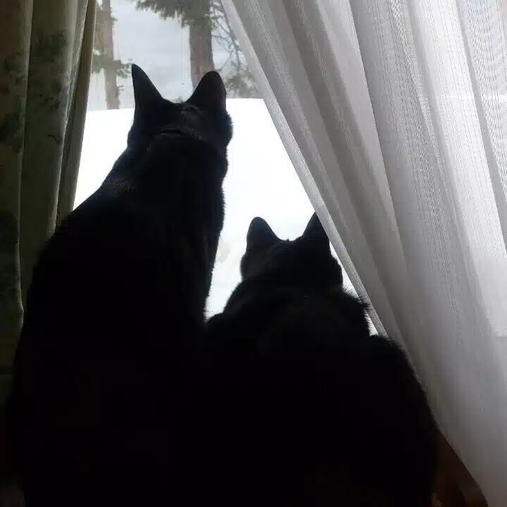 みんまる
