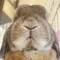つなの子