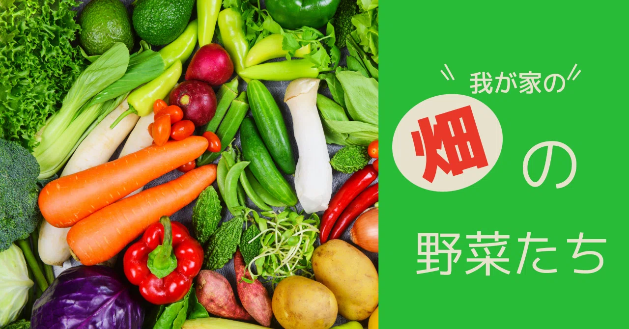 種芋を植え付けました。芽がニョキニョキでています。｜豆大福 病院薬剤師