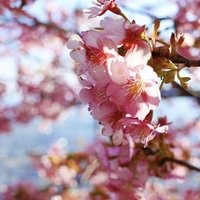 春日彩花の月別一覧 Note 春日彩花の月別一覧 Note