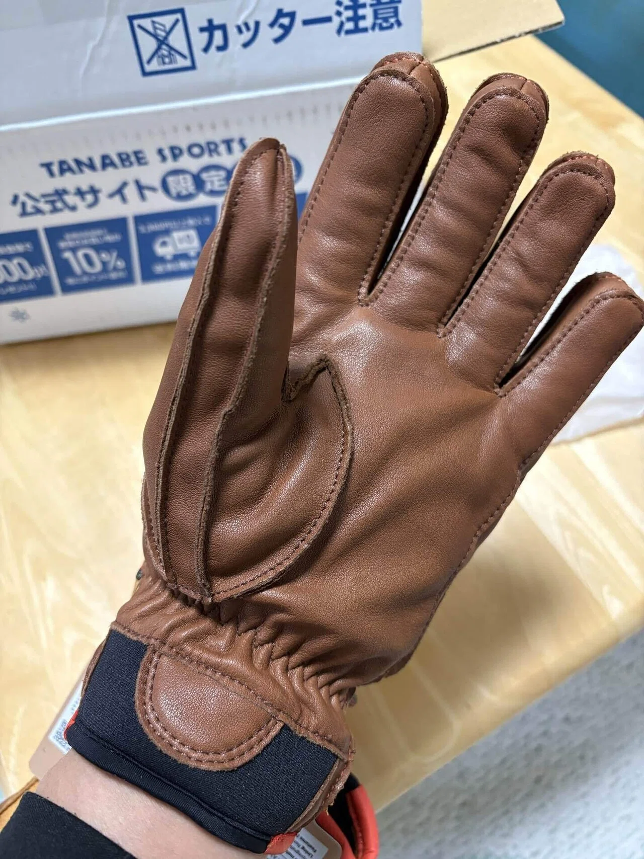 ヘストラ　ワカヤマ　サイズ8 レザー スキーグローブ ブラウン ヘストラのスキーグローブ『ワカヤマ』を購入しました｜すだじい